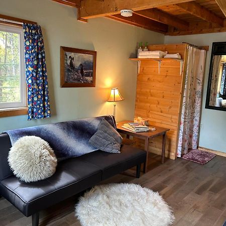 Talkeetna Sweetheart Cabin Villa Exterior photo